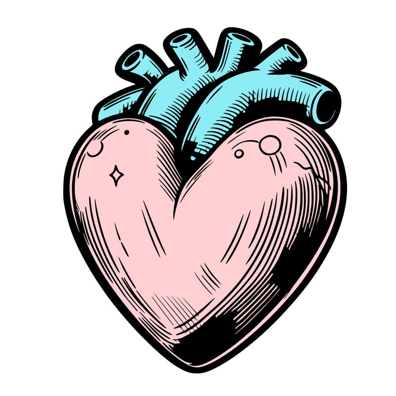 realistic heart