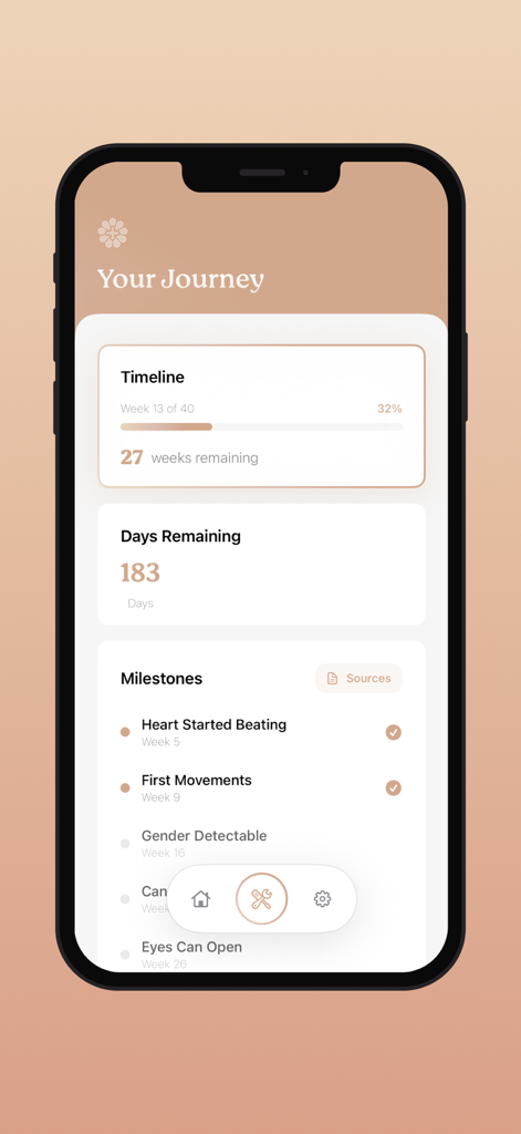 Nine+ Pregnancy Tracking - Un panel de rastreo de embarazo minimalista que muestra una línea de tiempo de progreso, una cuenta regresiva de los días restantes y una lista de hitos de desarrollo.