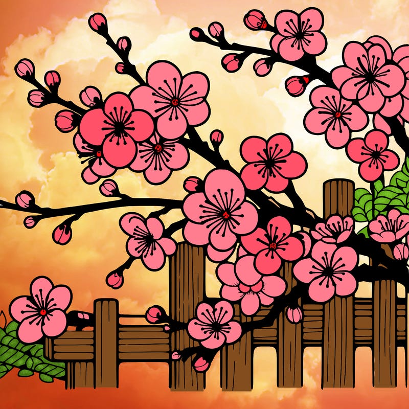 japan cherry blossom