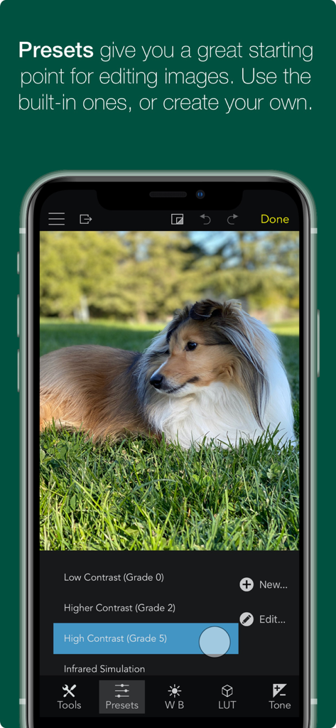 RAW Power - RAW Power app interface showing photo editing presets with an image of a dog