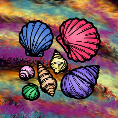 shells