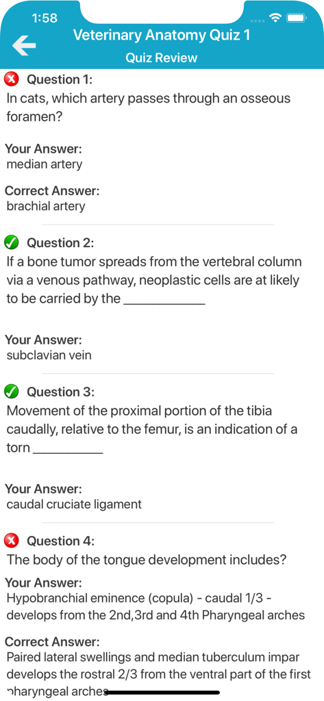 Tela de revisão mostrando perguntas e respostas do quiz no aplicativo Quiz de Anatomia Veterinária