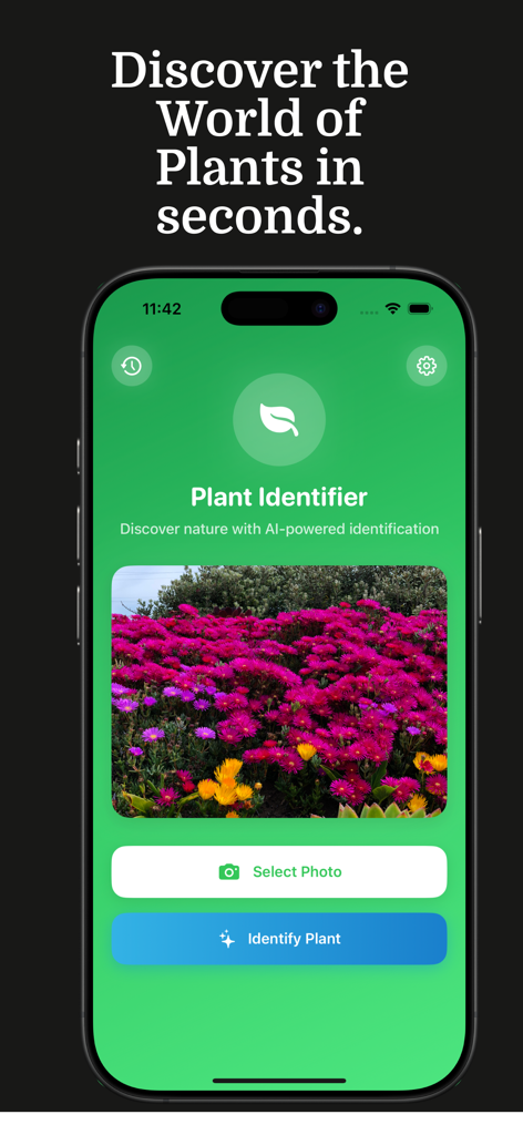 Plantella - Plant Identifier - Plantella app screen for instant plant identification using AI