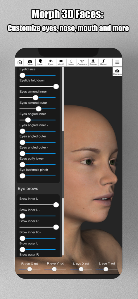Face Model -posable human head - 3D facial morphing interface showing sliders to customize eyes and eyebrows on a human head model
