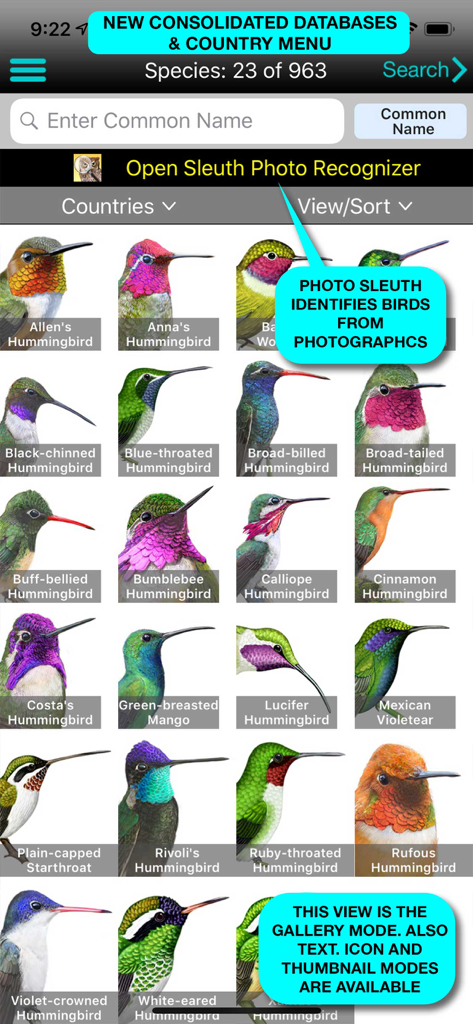Galerie de différentes espèces de colibris dans l'application iBird Pro illustrant la fonction de reconnaissance d'images.