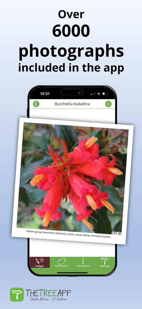 TheTreeApp SA: Tree Identifier - Reference App | MWM