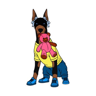 a six month old doberman pinscher puppy and she is wearing a t-shirt and pants and four shoes she has bows on her ears and she has a stuffed teddy bear dangling by one arm out of her mouth