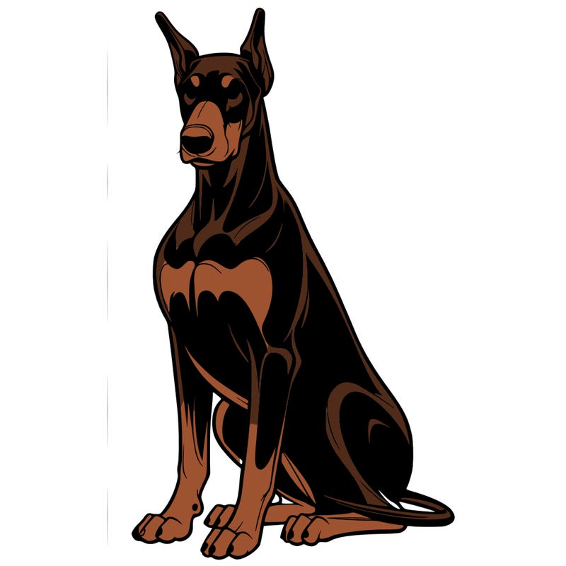 a dobermann sitting obedient
