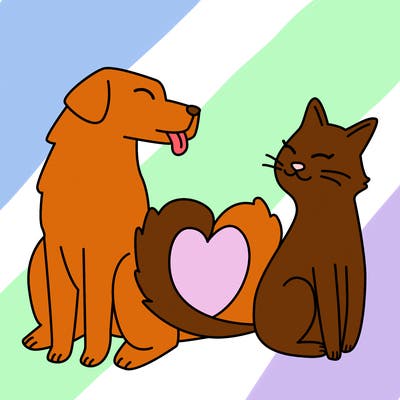animals_22