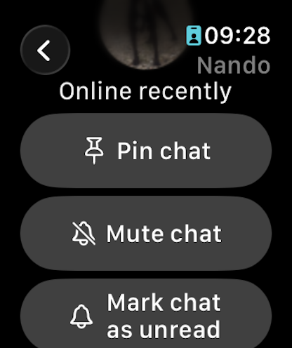 Watchagram - Watchagram app on Apple Watch showing options to pin mute or mark a chat as unread