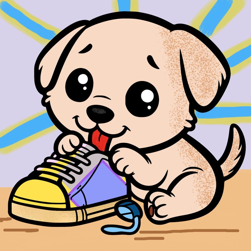 cute puppy chewing on a shoe