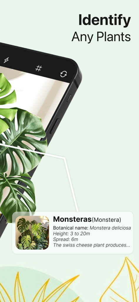 Ai Plant Identifier Tree Weed - La aplicación AI Plant Identifier mostrando los resultados de identificación para una planta Monstera, incluyendo el nombre científico y los detalles de cuidado