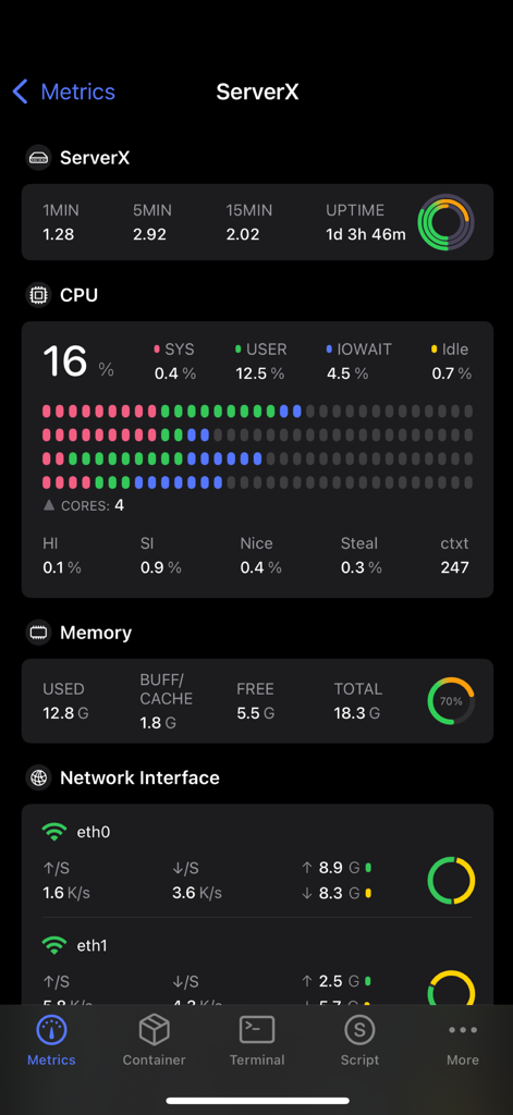 Die Benutzeroberfläche der ServerX-Mobil-App zeigt Echtzeit-Metriken zur CPU- und Speicherauslastung des Servers an