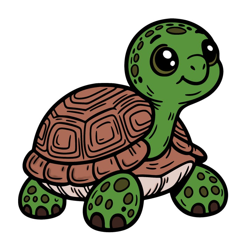 tortoise