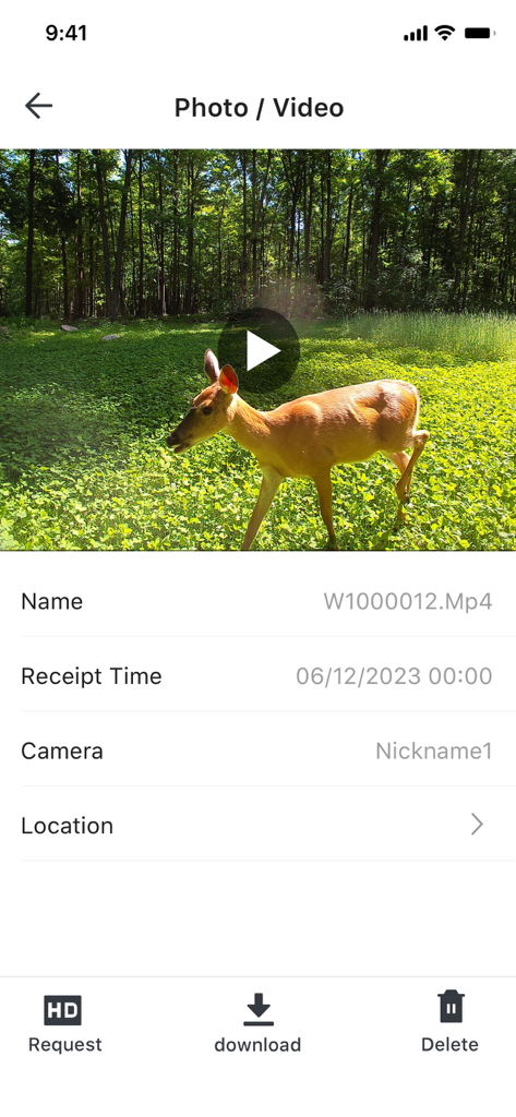 Camojojo - A deer captured on video by a trail camera displayed within the Camojojo app interface