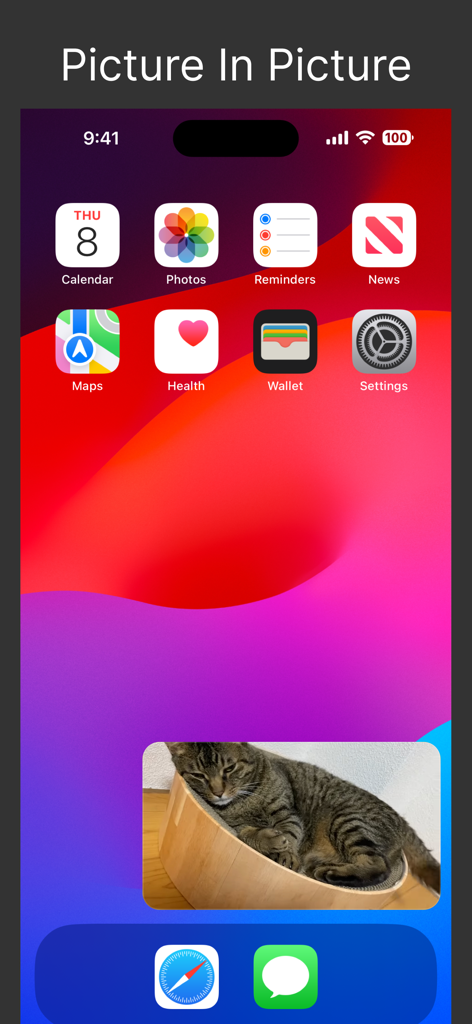 UTube Embed Player - Un écran d'accueil d'iPhone montrant une vidéo d'un chat jouant dans une fenêtre flottante en image dans l'image à l'aide de l'application UTube Embed Player.