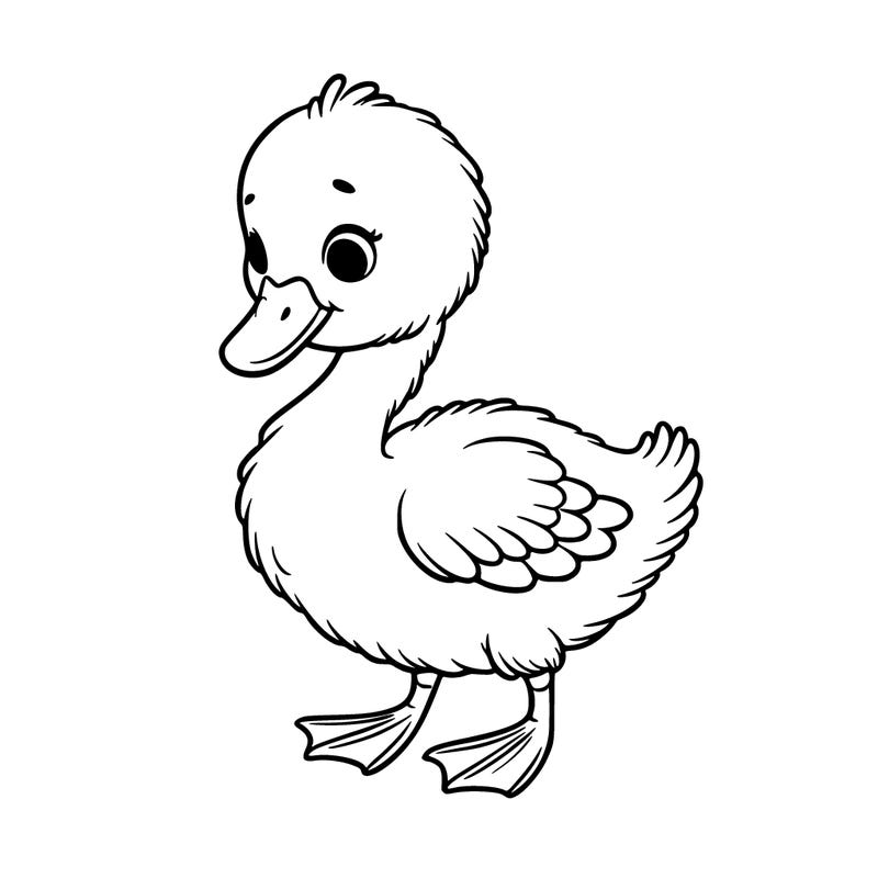 cygnet