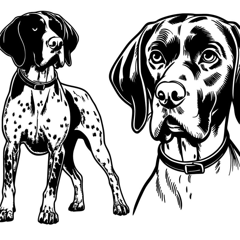 realistic german short haired pointer