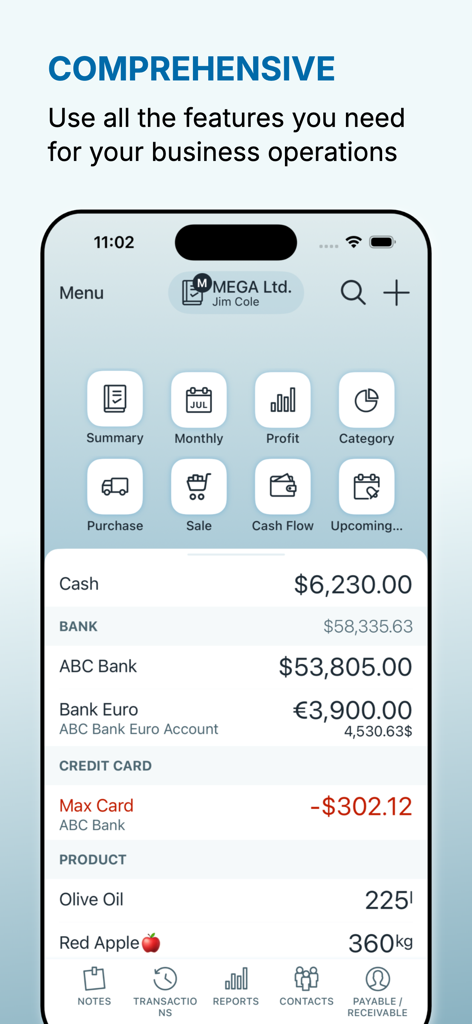 Umfassendes Dashboard der Account Book App, das Finanzzusammenfassungen und Geschäftskonten anzeigt