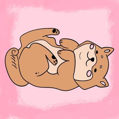 animals_30