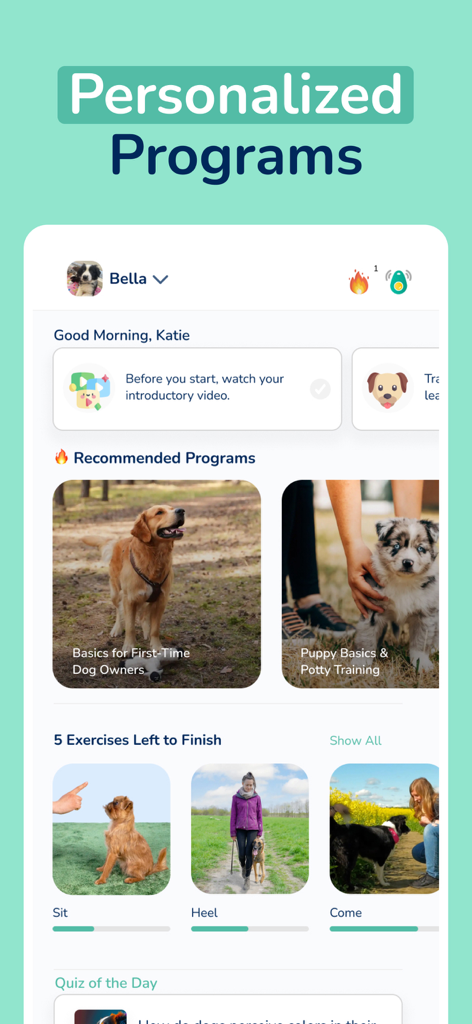 Hundeo - Dog Training & Tricks - Dashboard of the Hundeo app featuring personalized training programs and daily exercise tracking for dogs.