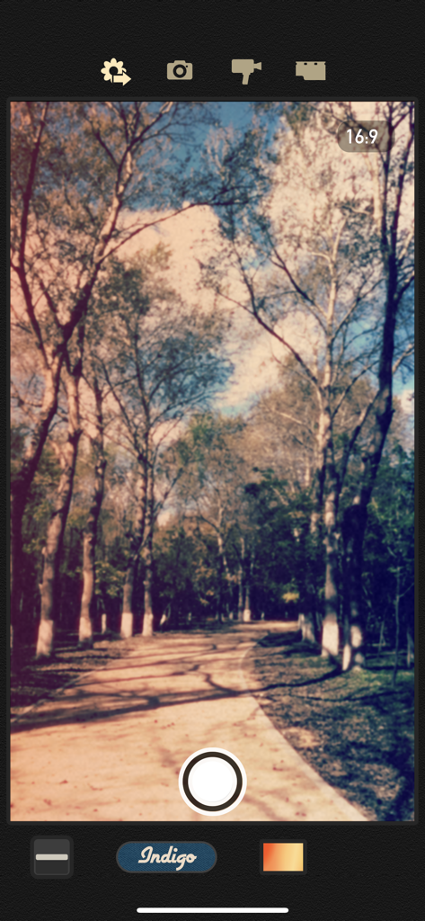 8mm Vintage Camera - The 8mm Vintage Camera app interface showing a scenic woodland path with a retro indigo film effect