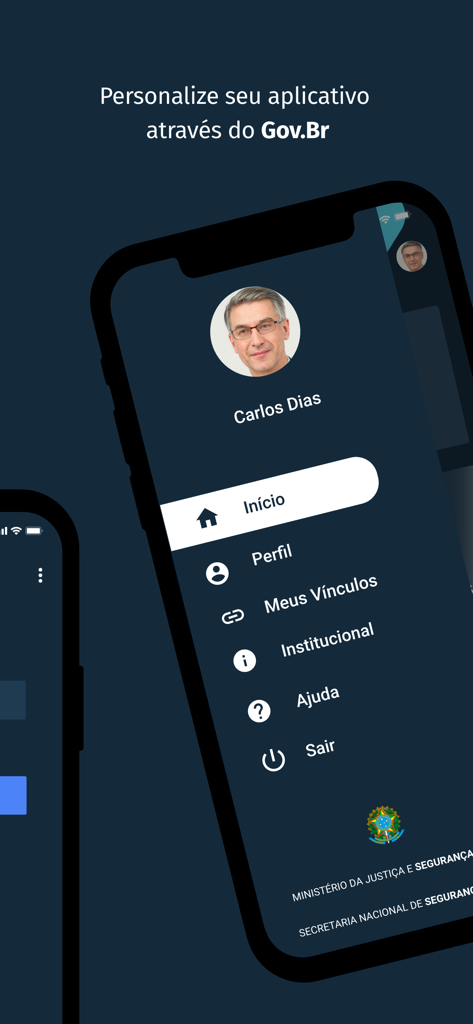Sinesp Cidadão - User profile and main navigation menu of the Sinesp Cidadao mobile app