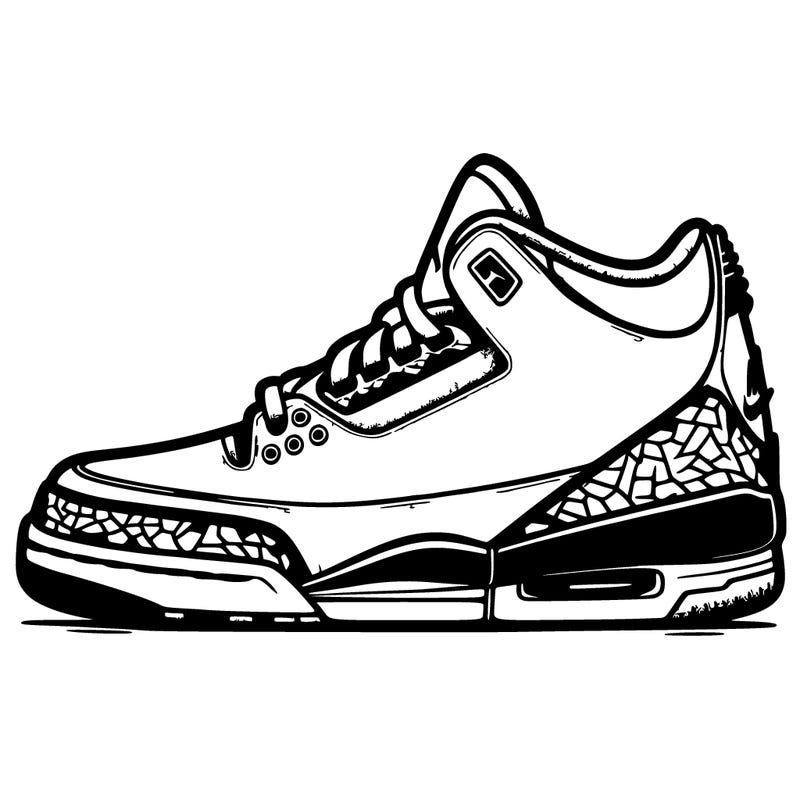 jordan 3s