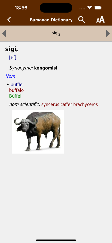 Une entrée de dictionnaire pour le mot buffle en Bambara, français, anglais et allemand avec une photo.