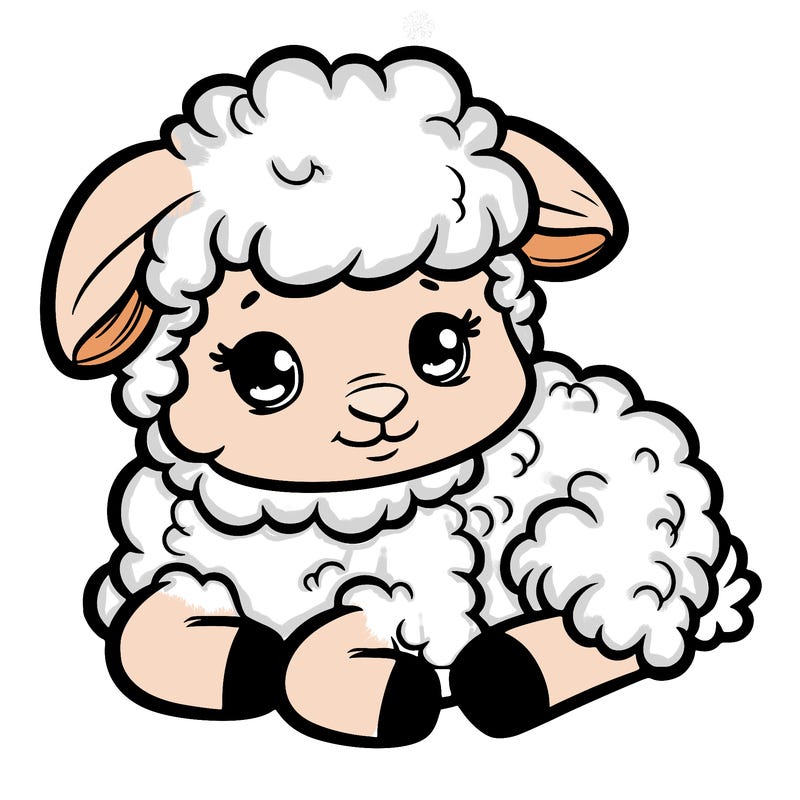a baby sheep