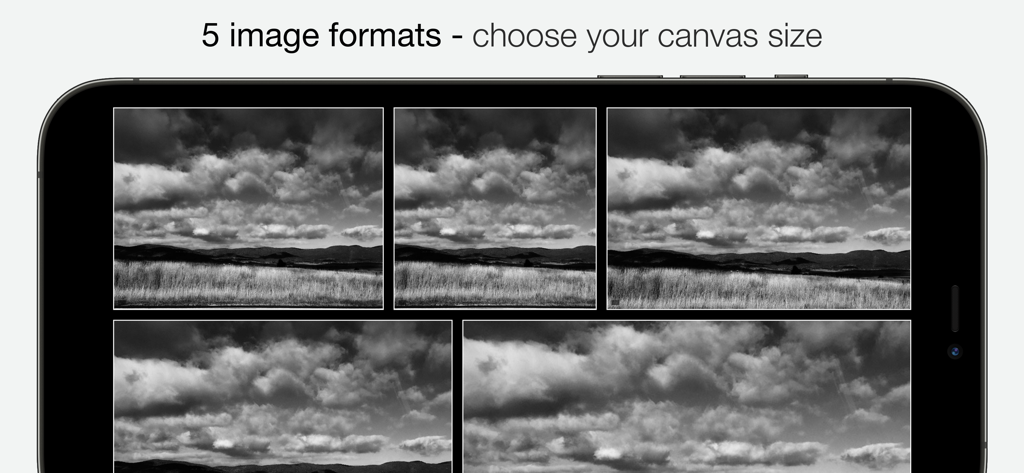 Camera1 - Black & White Camera - Five different black and white image crop formats displayed on a smartphone screen.
