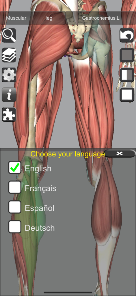 Interface of the 3D Bones and Muscles anatomy app showing a human leg muscle model and a language selection menu.