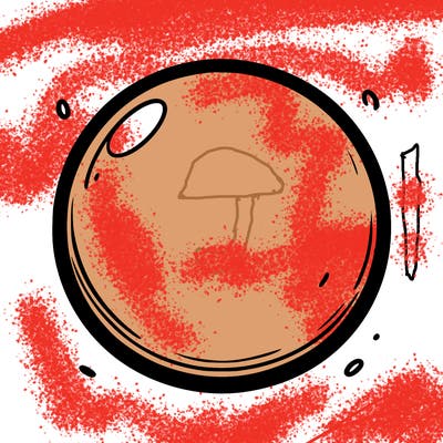 plain circle with nothing inside