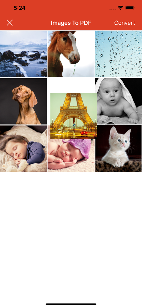 PDFファイルに変換する準備ができた写真のグリッドが表示されたアプリの選択画面