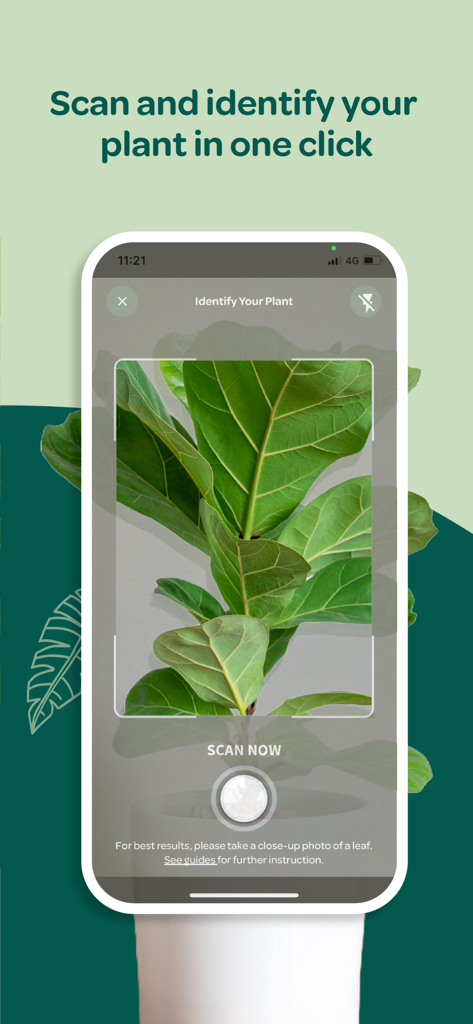 Plant with Willow - Plant with Willow app interface showing the plant identification camera scanning a green leafy plant