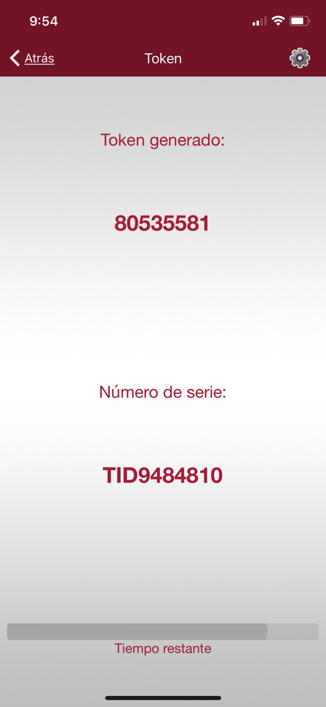 INVEX KEY - INVEX KEY app interface showing a generated security token code and serial number