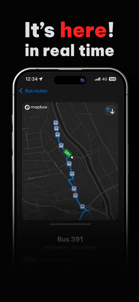 Tbilisi Bus App interface showing a real-time map with bus route 391 and nearby stops.