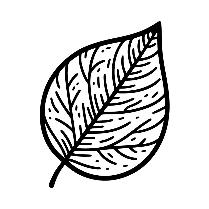 leaf drawing