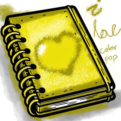 notebook