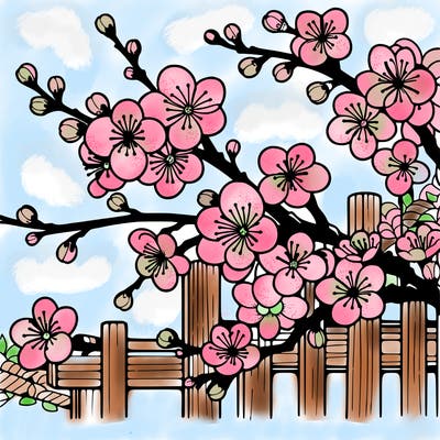 japan cherry blossom