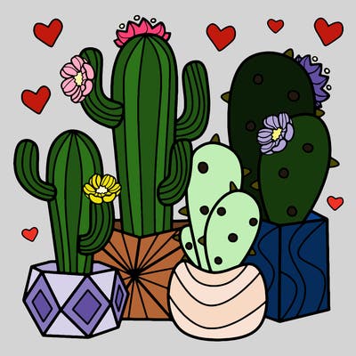 flowers_24_new