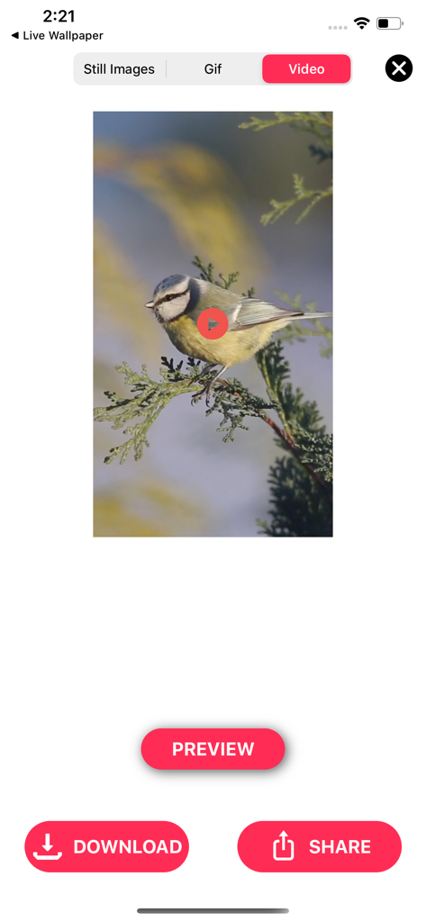 Live Photo Converter * - Mobile app interface showing a live photo of a bird being converted into a video with download and share options