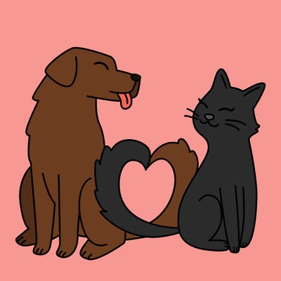 animals_22