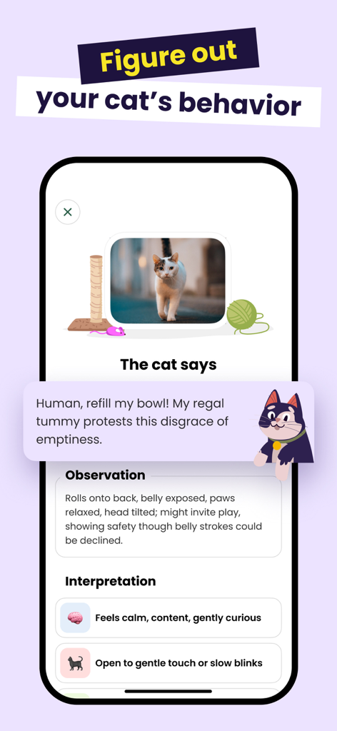 Meowz: Cat Training, Pet Care - A mobile app screen from Meowz showing an analysis of a cat's body language and behavior interpretation.