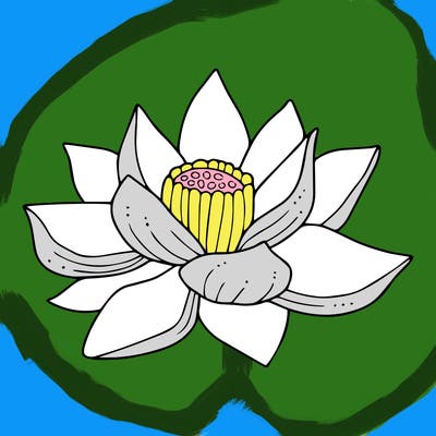 flowers_08
