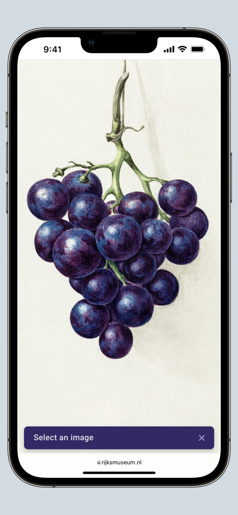 Search by Image for Safari - Écran de l'iPhone montrant l'extension Safari Recherche par image sélectionnant une illustration botanique de raisin sur un site Web pour une recherche inversée.