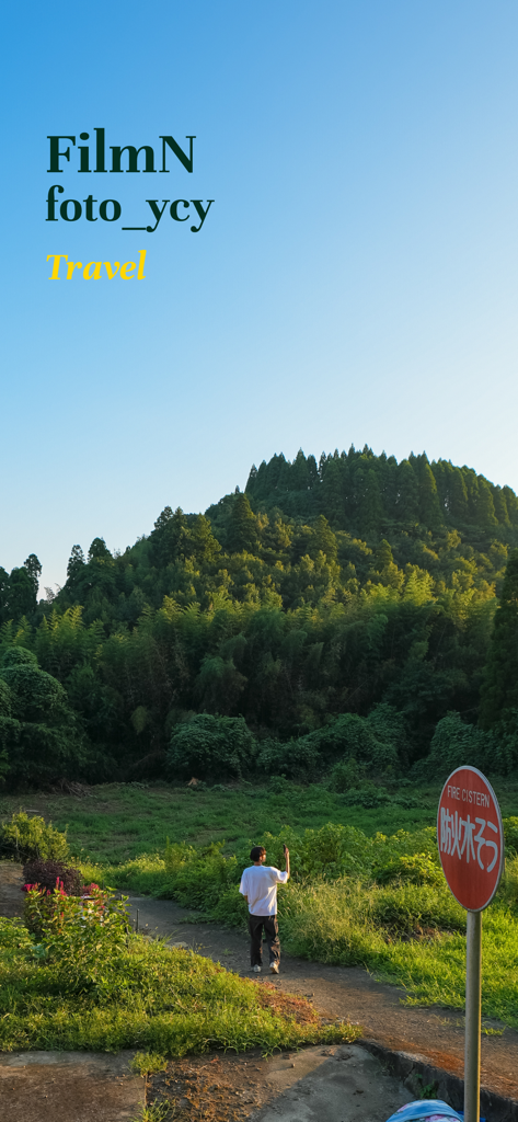 A person taking a picture of a green forest with a vintage film filter effect.