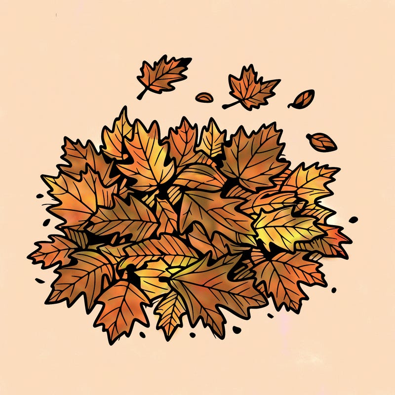 a scattering of fallen autumn leaves captures the album’s seasonal and reflective qualities%2c emphasizing change and transition.