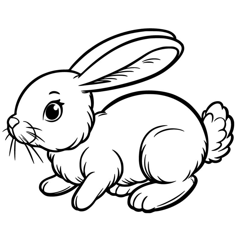 rabbit