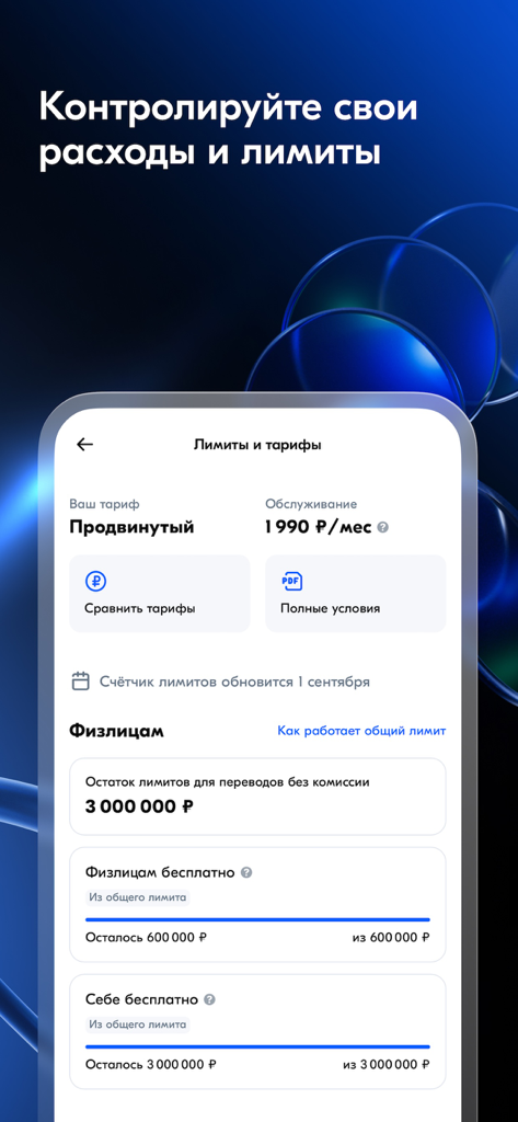 Ozon Банк для бизнеса - Ozon Bank for Business 앱 화면에 이체 한도 및 요금 정보 표시
